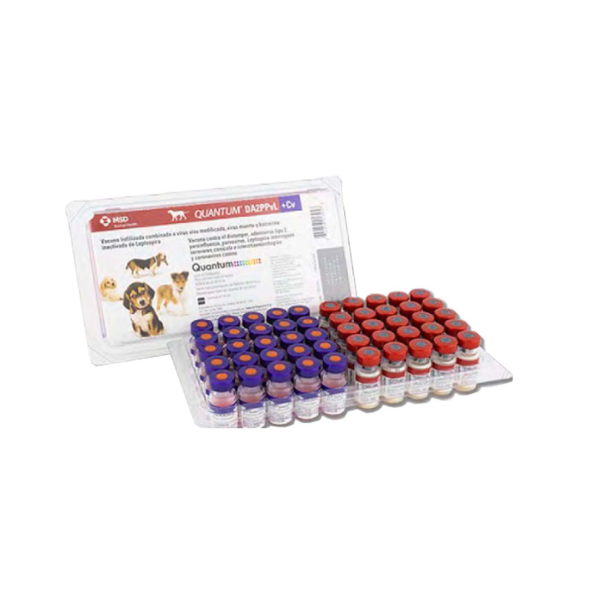 QUANTUM DOG DA2PPvL + CV (25)