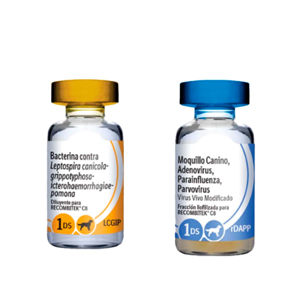 RECOMBITEK C8 (25)