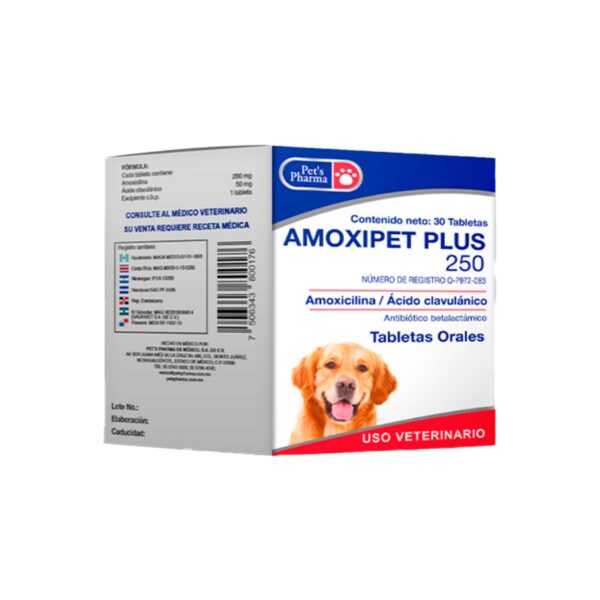 AMOXIPET PLUS 250 MG 30 TAB.