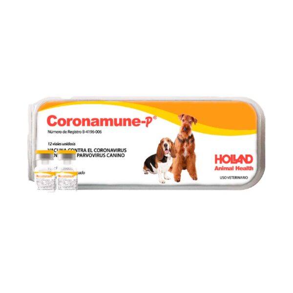 CORONAMUNE- P 1 DS (12)
