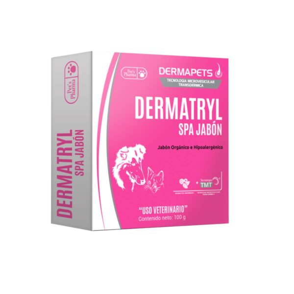 DERMATRYL SPA JABON 100 GRS