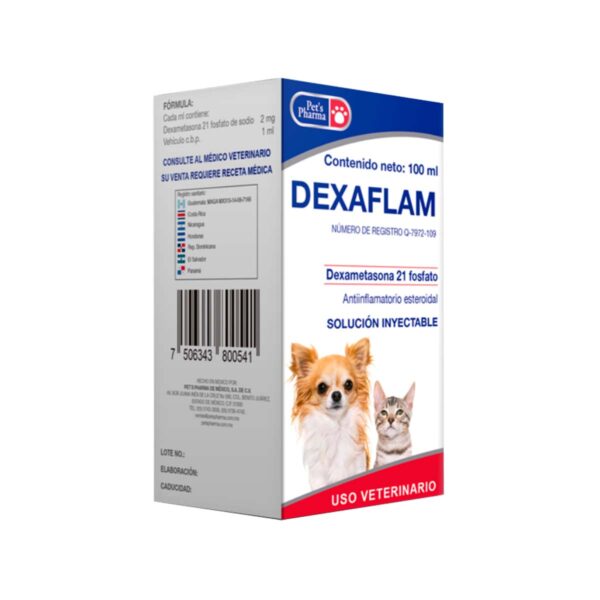DEXAFLAM 100 ML