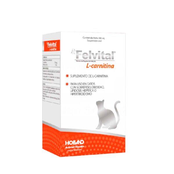FELVITAL L CARNITINA 80ML