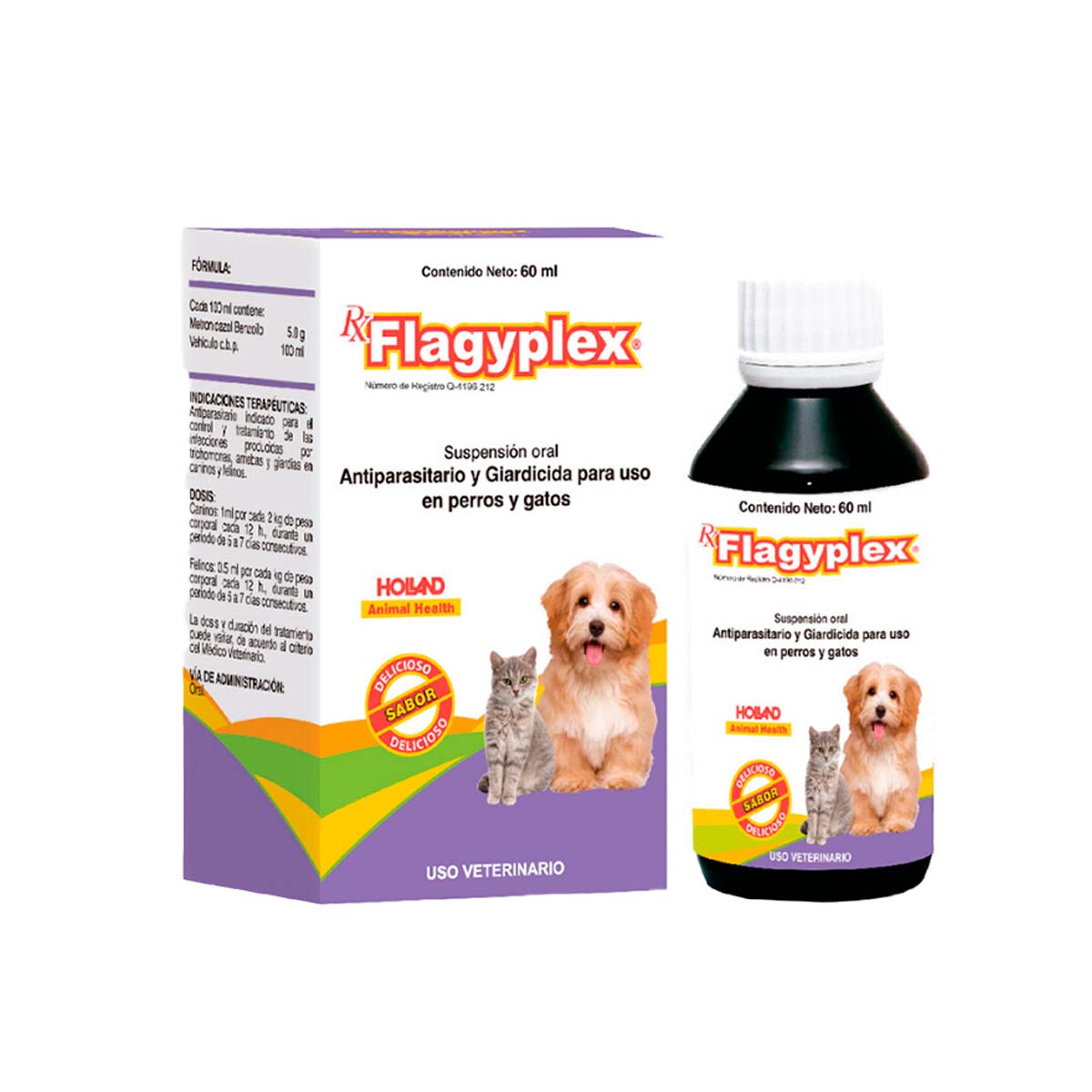 RX FLAGYPLEX SUSP. 60 ML