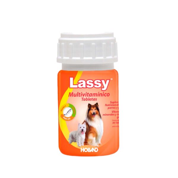 MULTIVITAMINICO LASSY 30 TABS