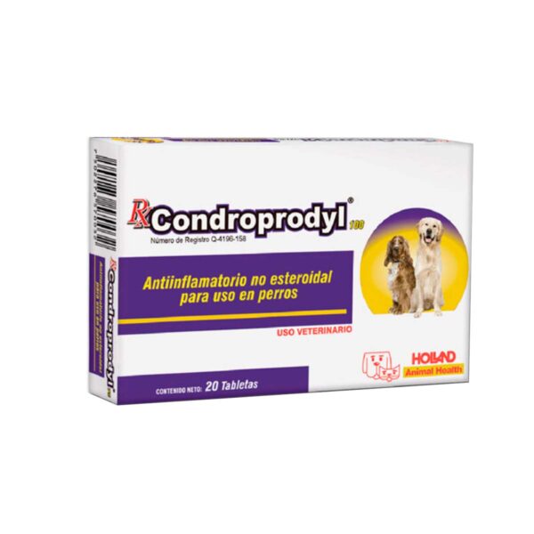 RX CONDROPRODYL 100 MG