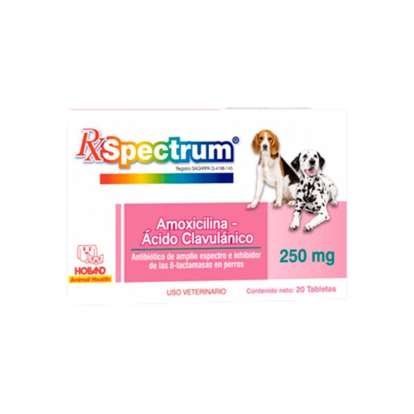 SPECTRUM AMOXICILINA+AC CL 250 MG 20 TAB