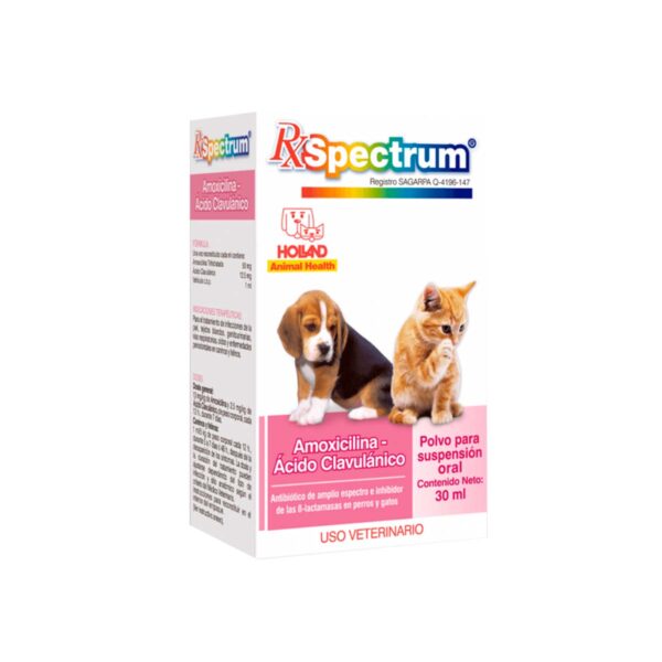 SPECTRUM AMOXICILINA +AC CLV SUSP.30 ML