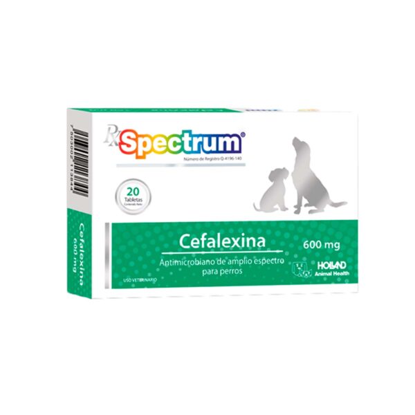 SPECTRUM CEFALEXINA 600 MG ( 20 TAB )